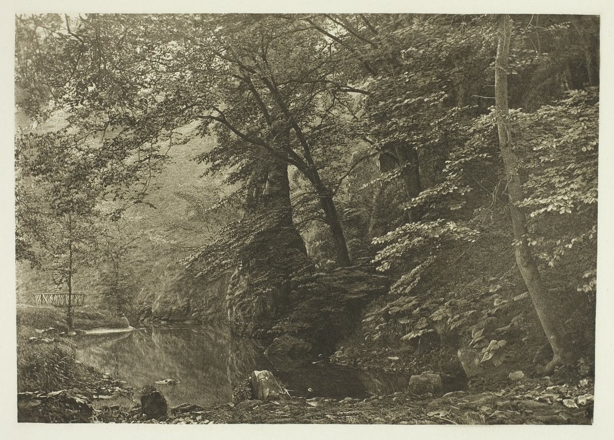 "Snoekenpoel" (van onderen) door Peter Henry Emerson
