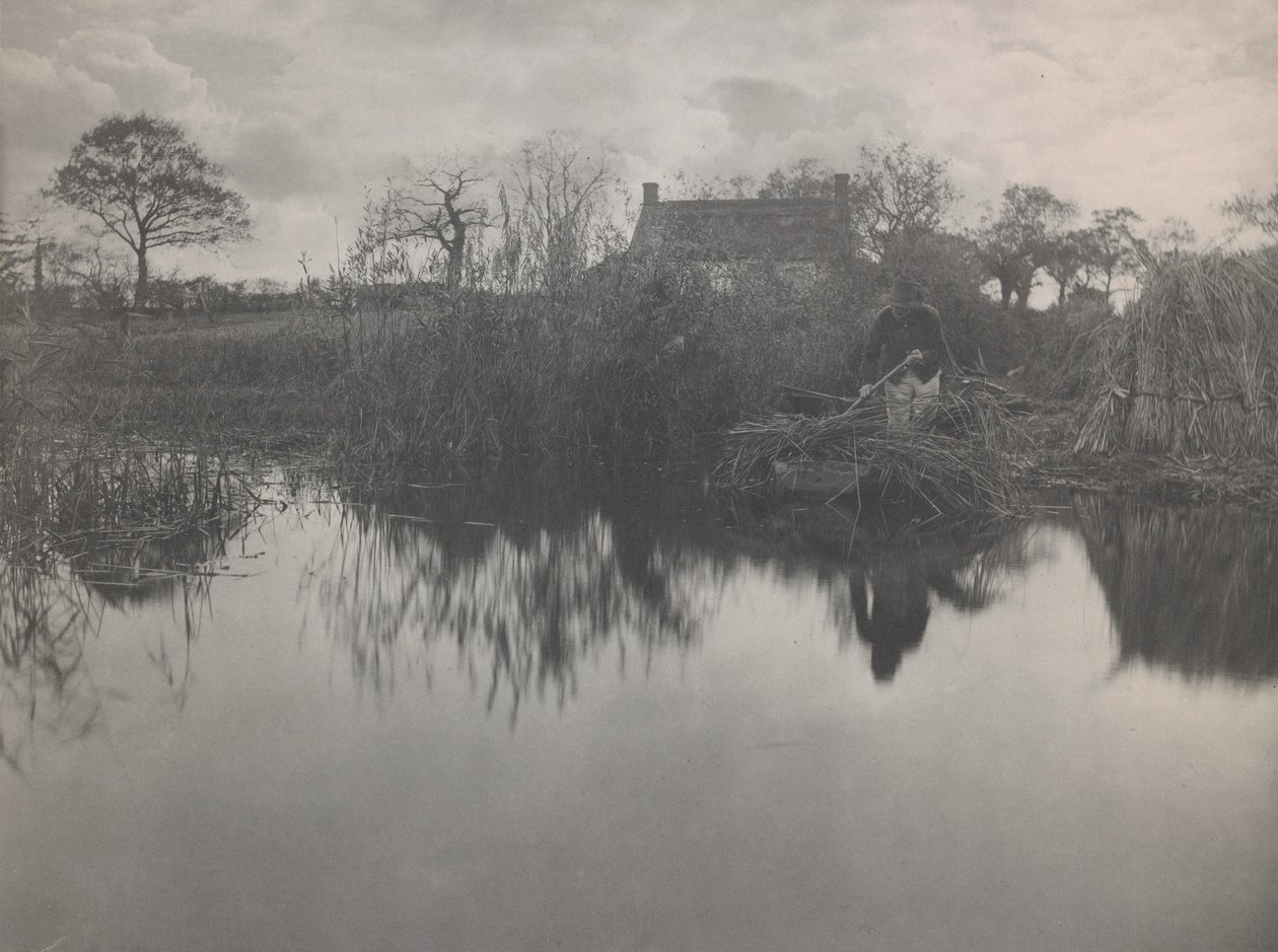Quanting de Gladdon door Peter Henry Emerson