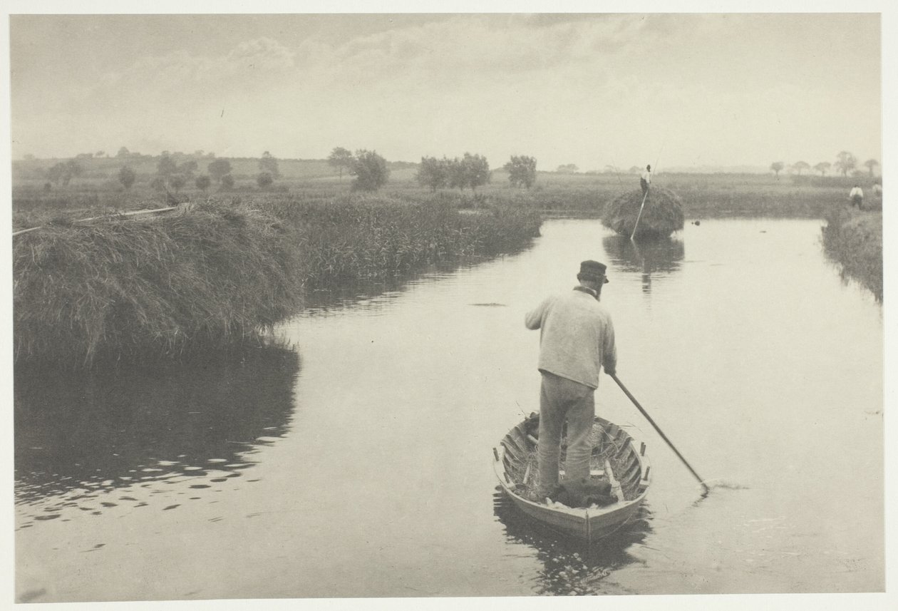 Het moerashooi kwantificeren door Peter Henry Emerson