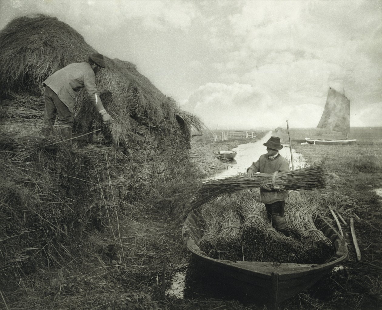 Riet snijden, ca. 1885 door Peter Henry Emerson