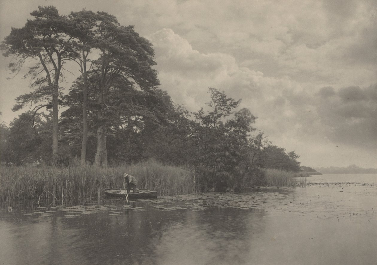 De schuilplaats van de snoek door Peter Henry Emerson