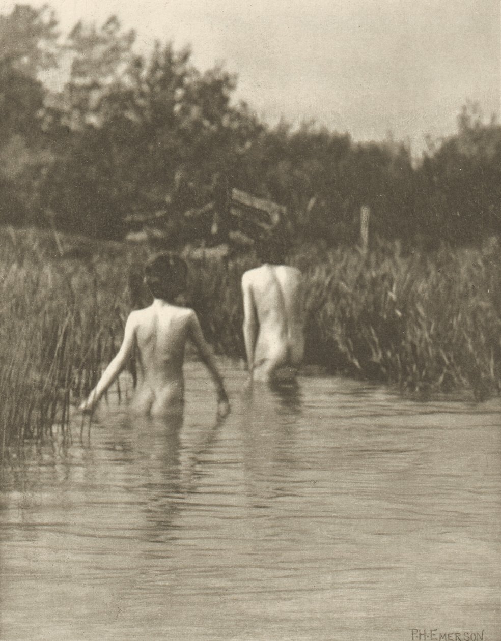 Water-Babies door Peter Henry Emerson