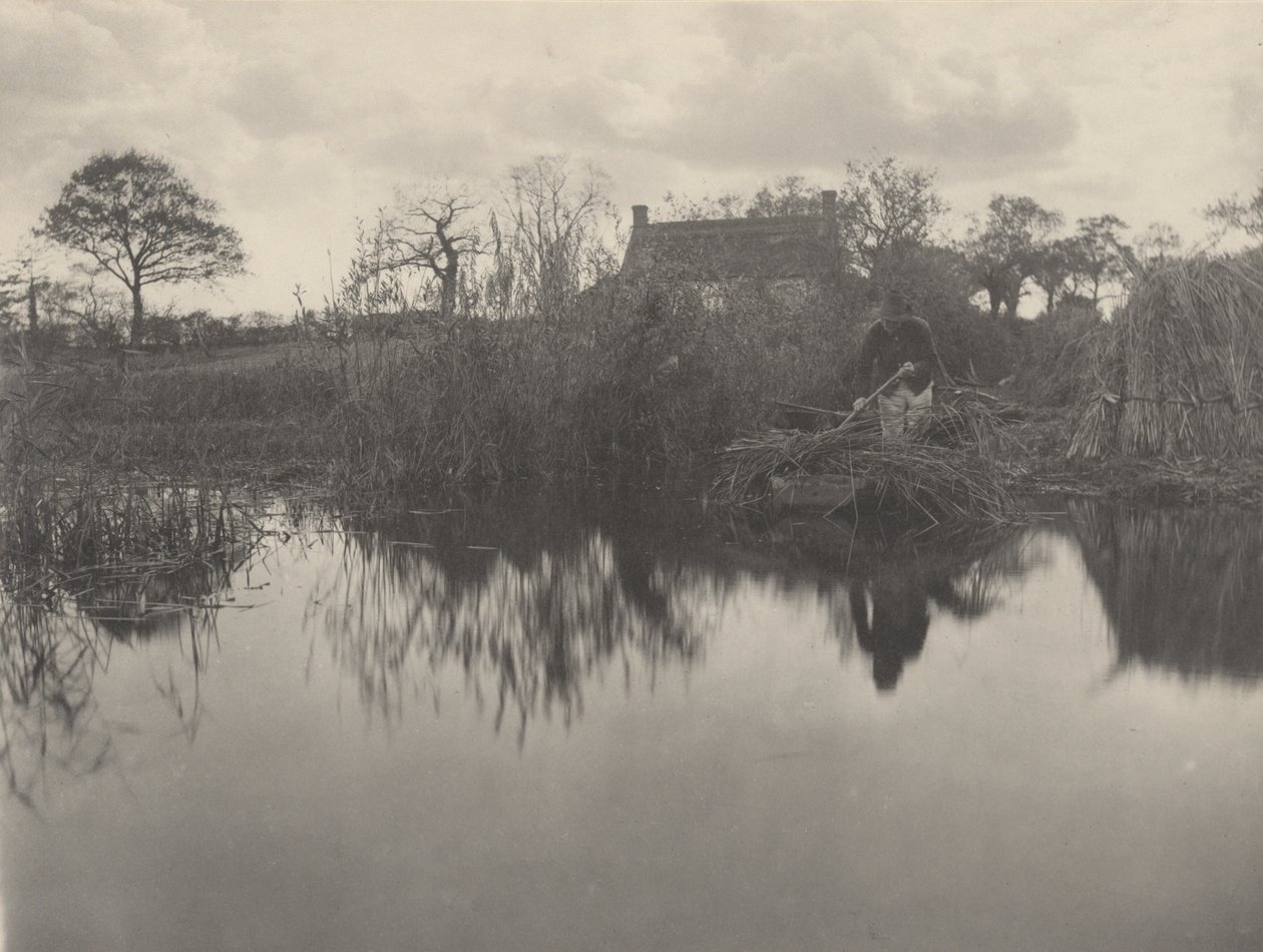 Quanting de Gladdon door Peter Henry Emerson and T.F. Goodall