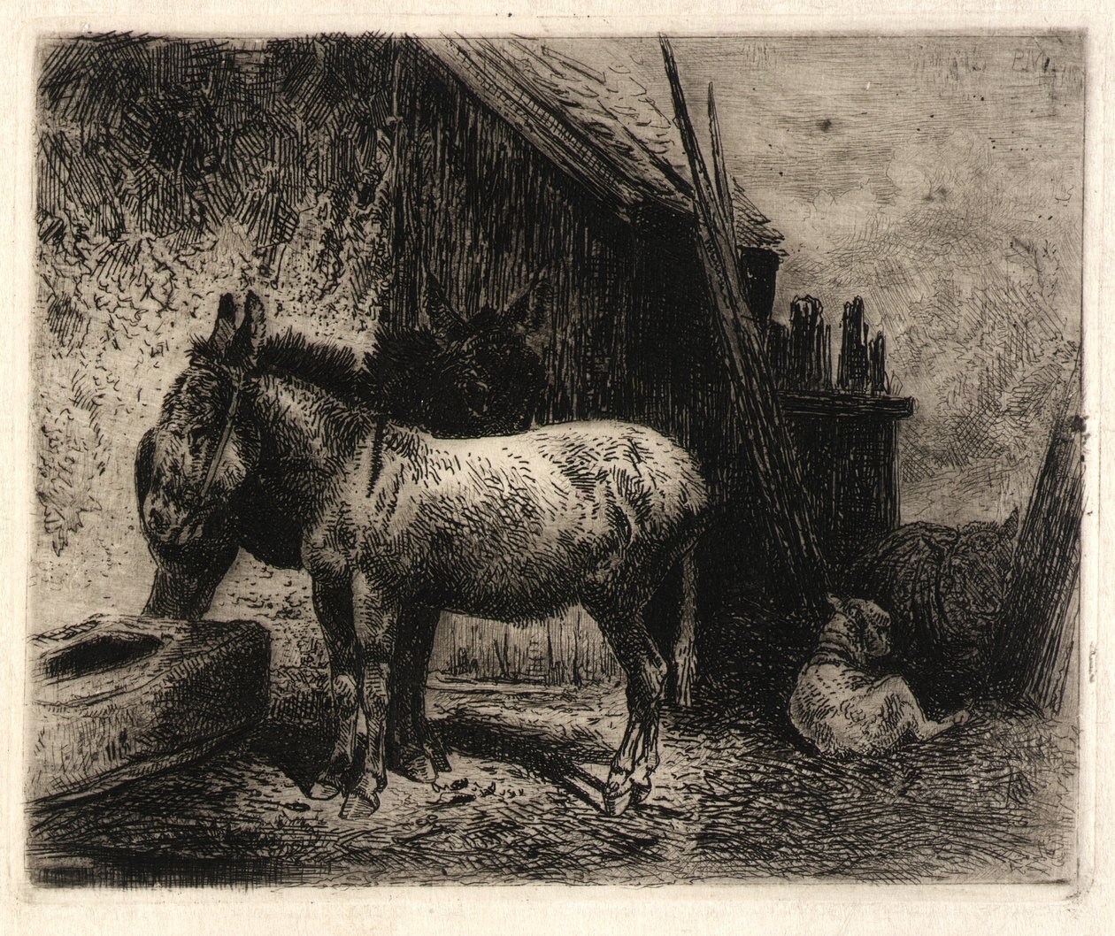 (Ezels en schapen) door Peter Moran