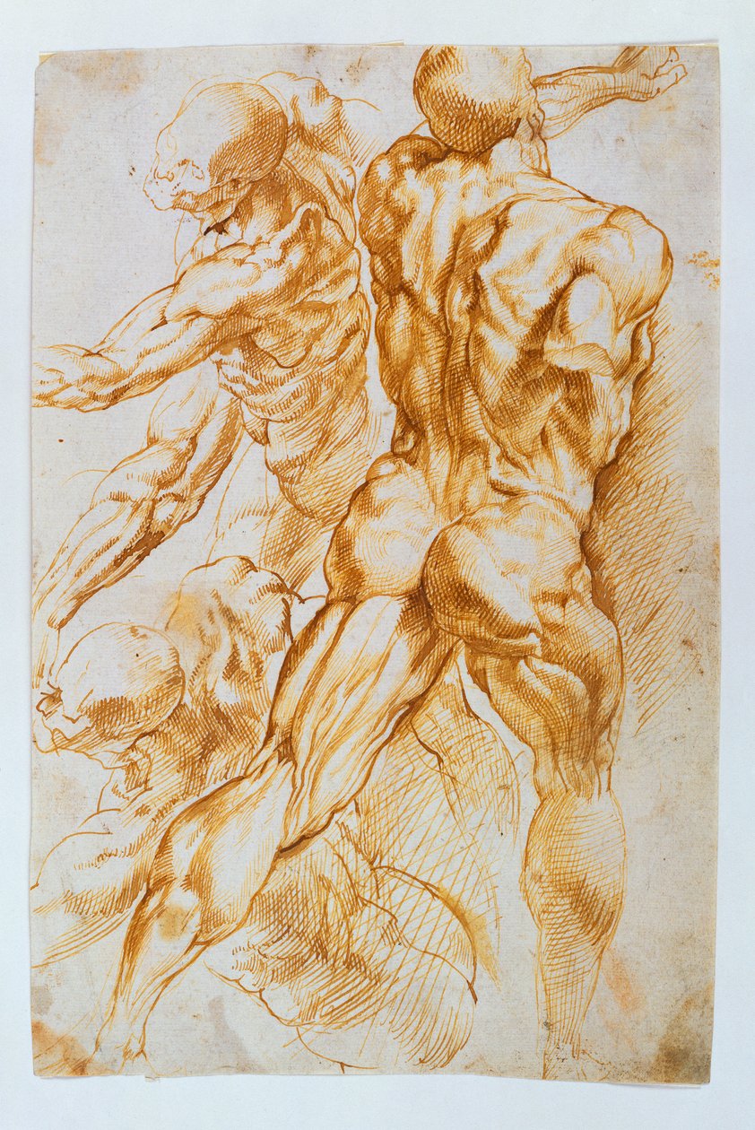 Anatomische studies: Naakten in gevecht door Peter Paul Rubens