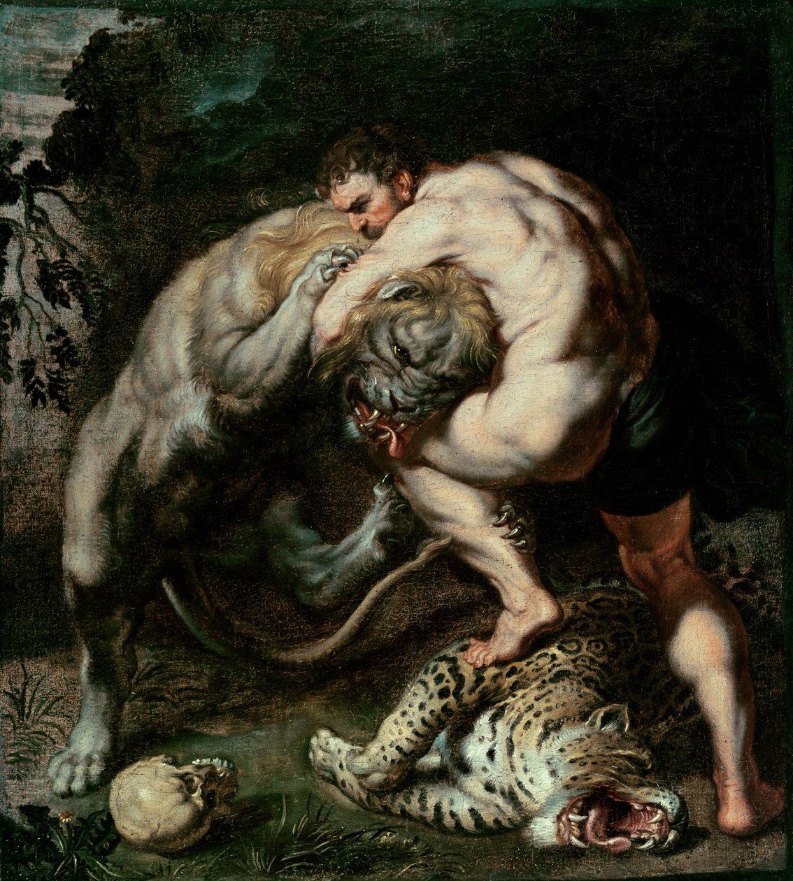 Hercules vecht tegen de Nemeïsche leeuw door Peter Paul Rubens