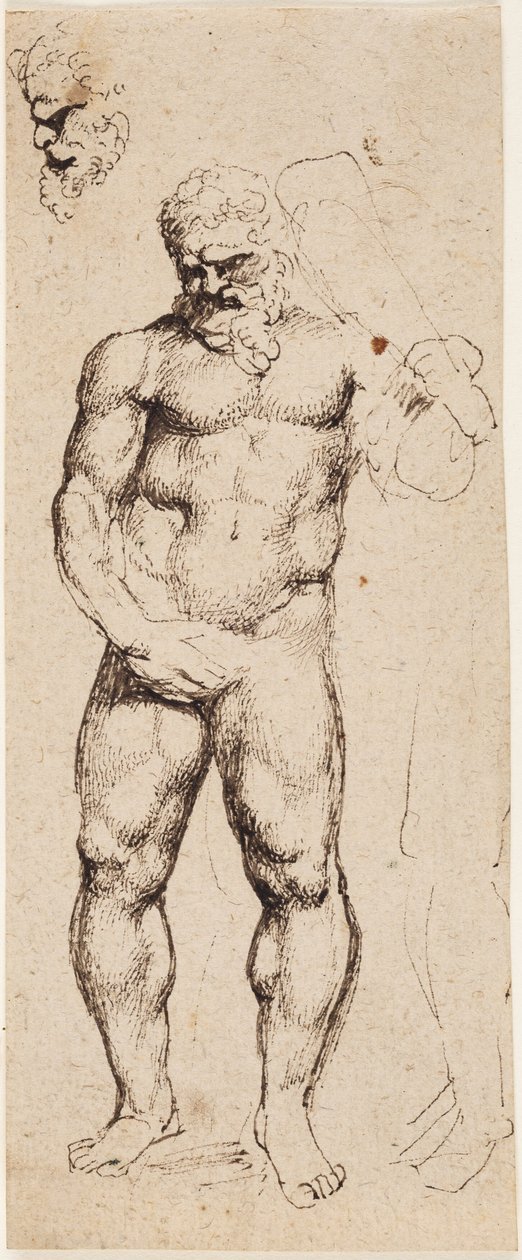 Hercules door Peter Paul Rubens