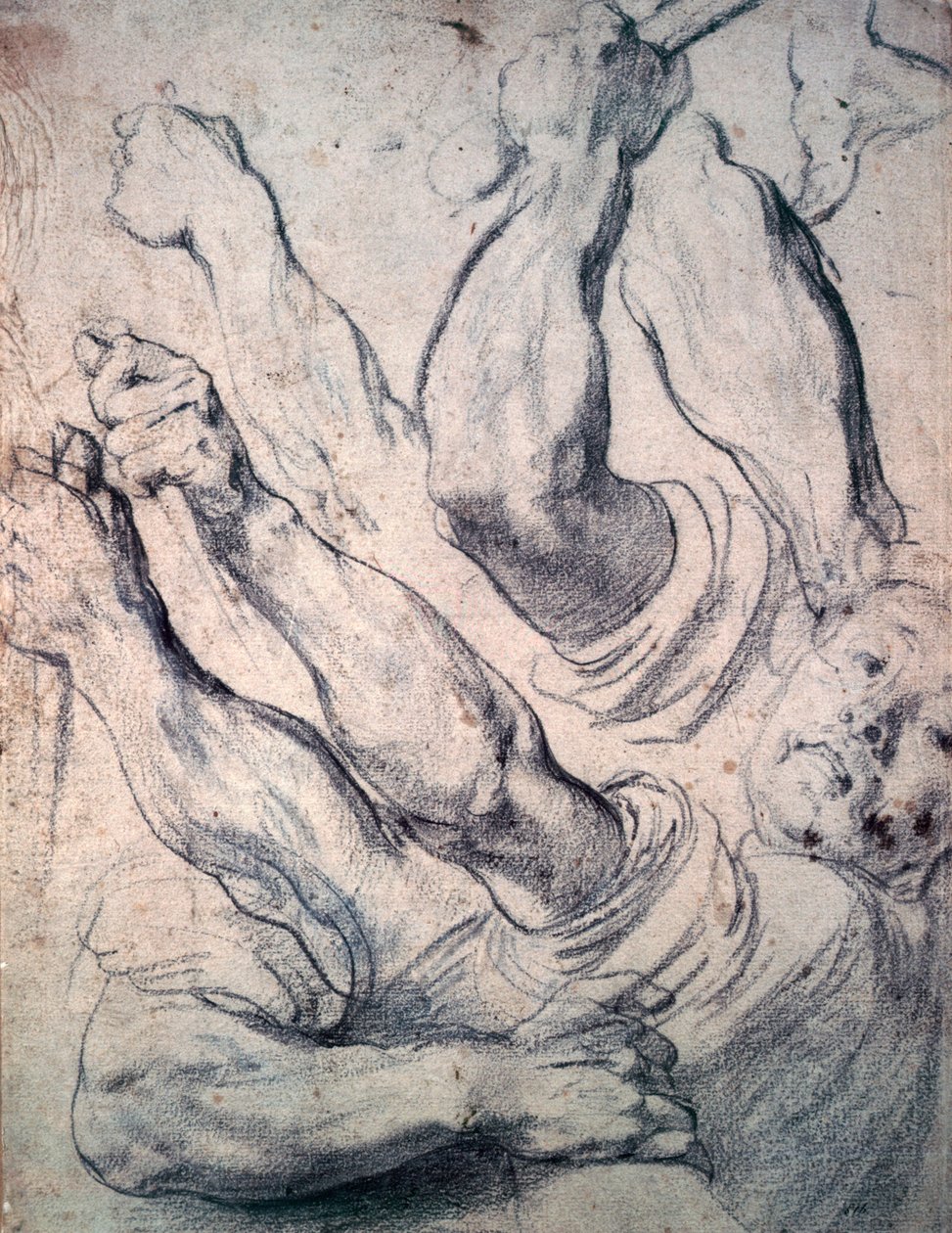Onbekend beeld door Peter Paul Rubens