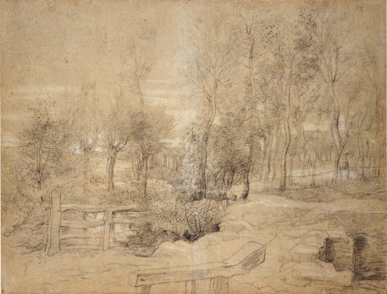 Boslandschap door Peter Paul Rubens