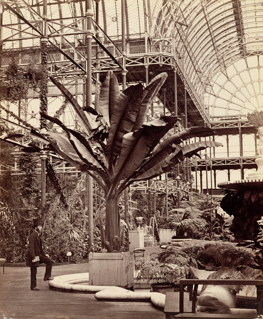 Tropische Planten in de Egyptische Kamer, Crystal Palace, Sydenham, 1854 door Philip Henry Delamotte