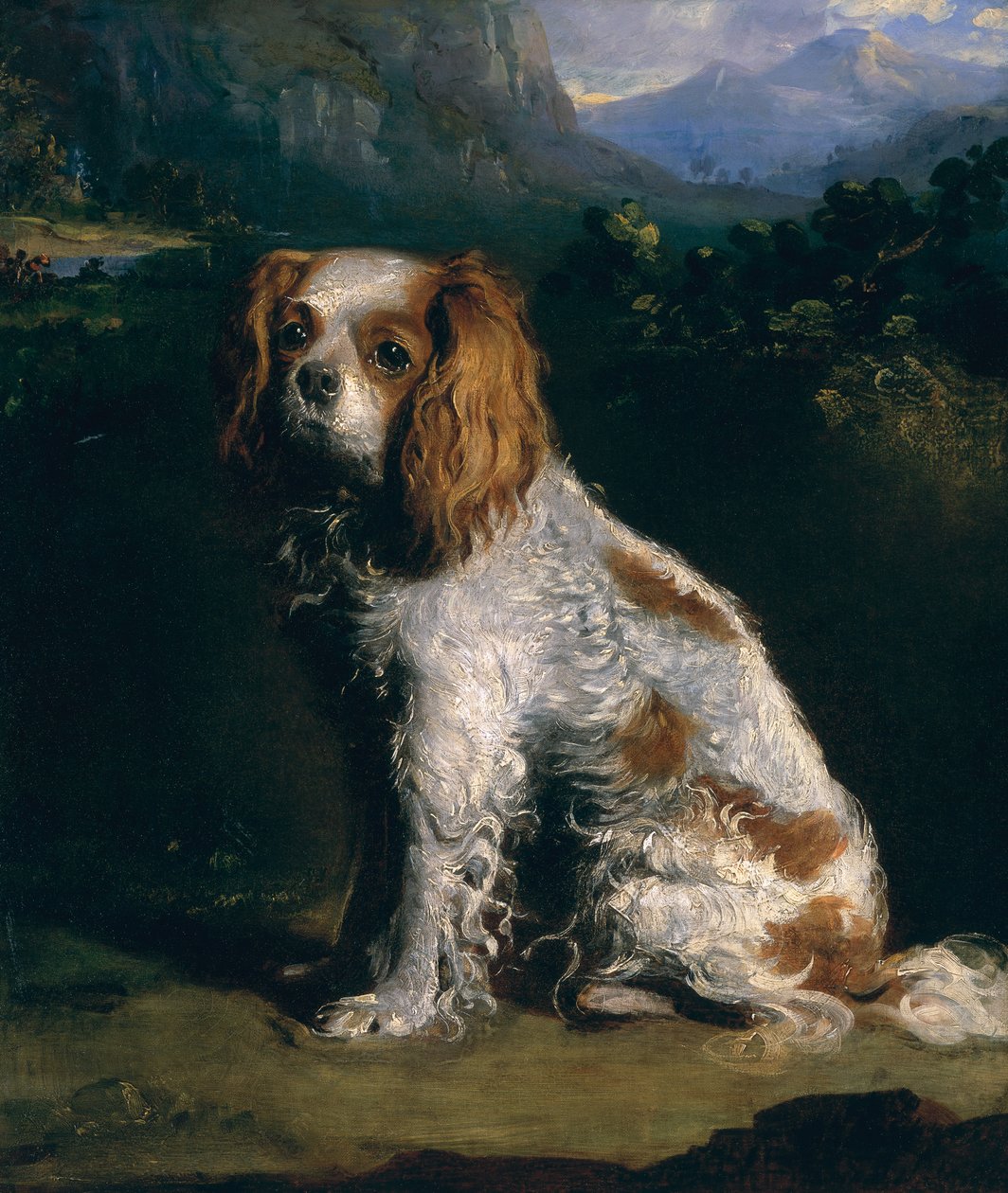 Een King Charles Spaniël door Philip Reinagle