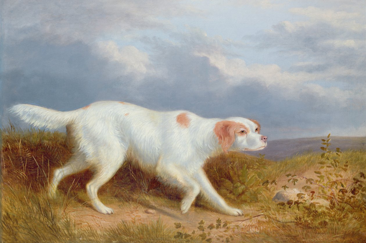 Een setter op de hei door Philip Reinagle