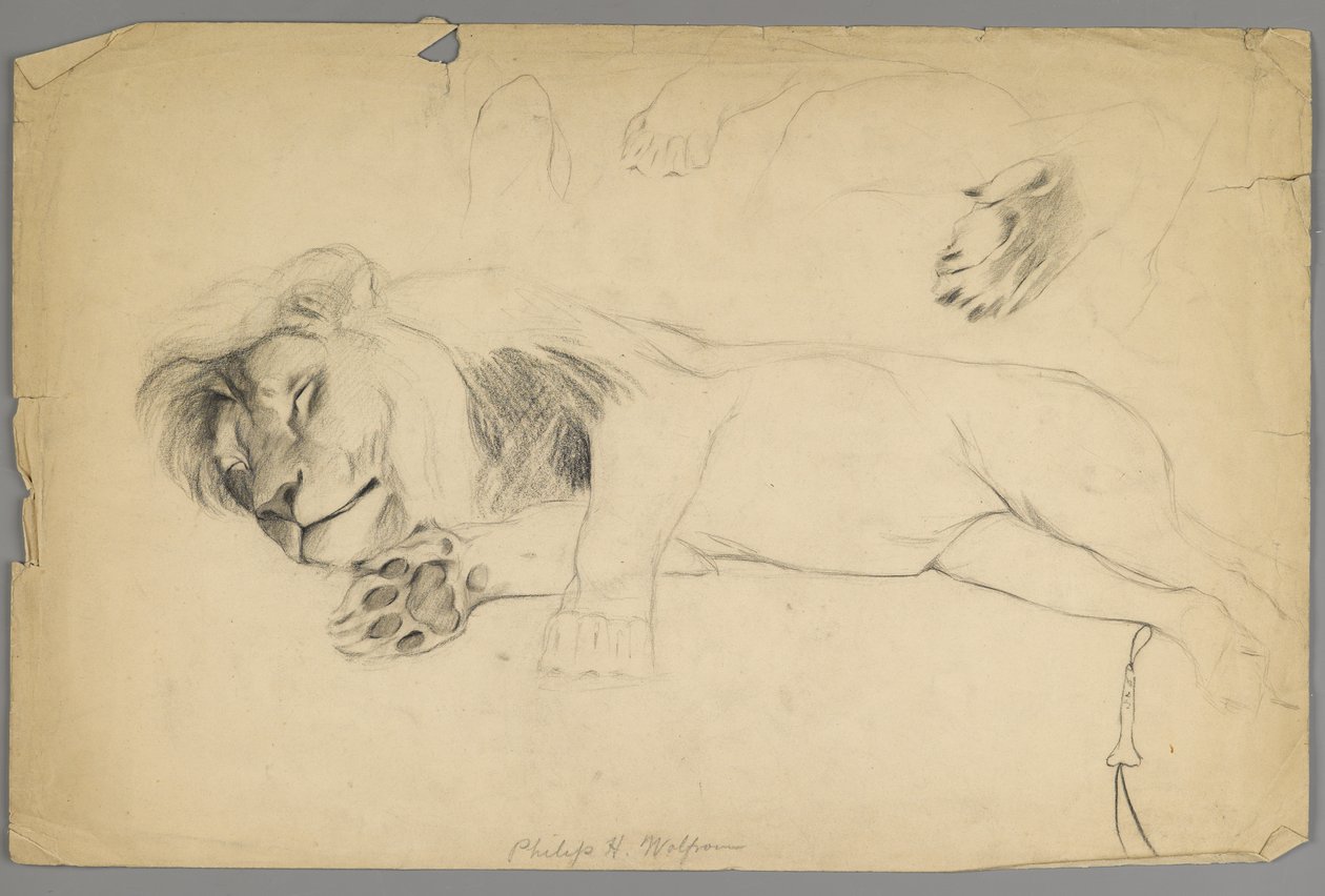 Slapende leeuw door Philip H. Wolfrom