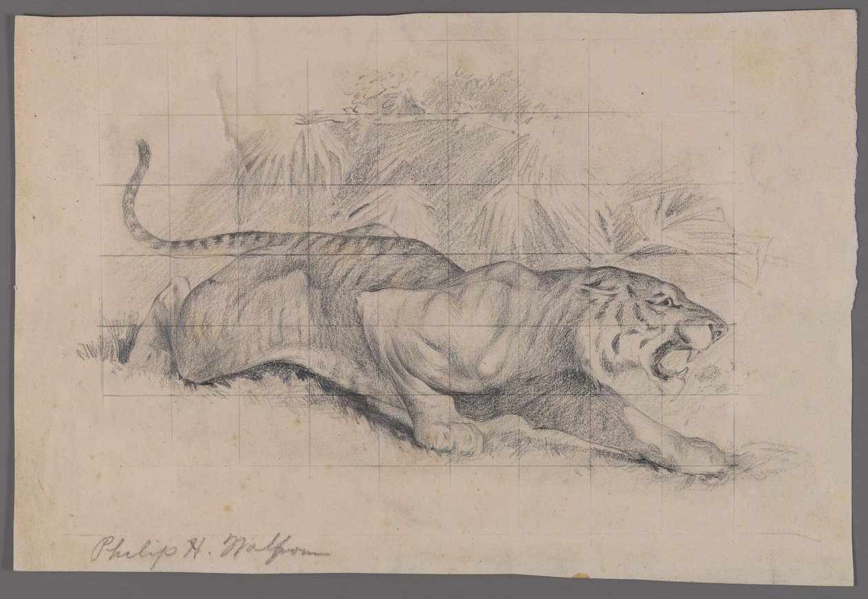 Tijger in landschap door Philip H. Wolfrom