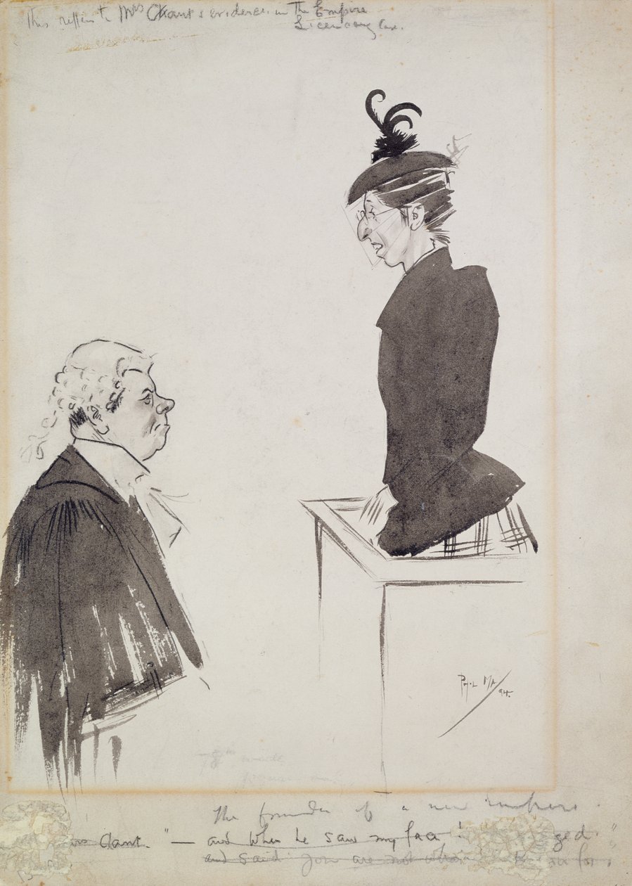 De getuige (mevrouw Chant) door Philip William May