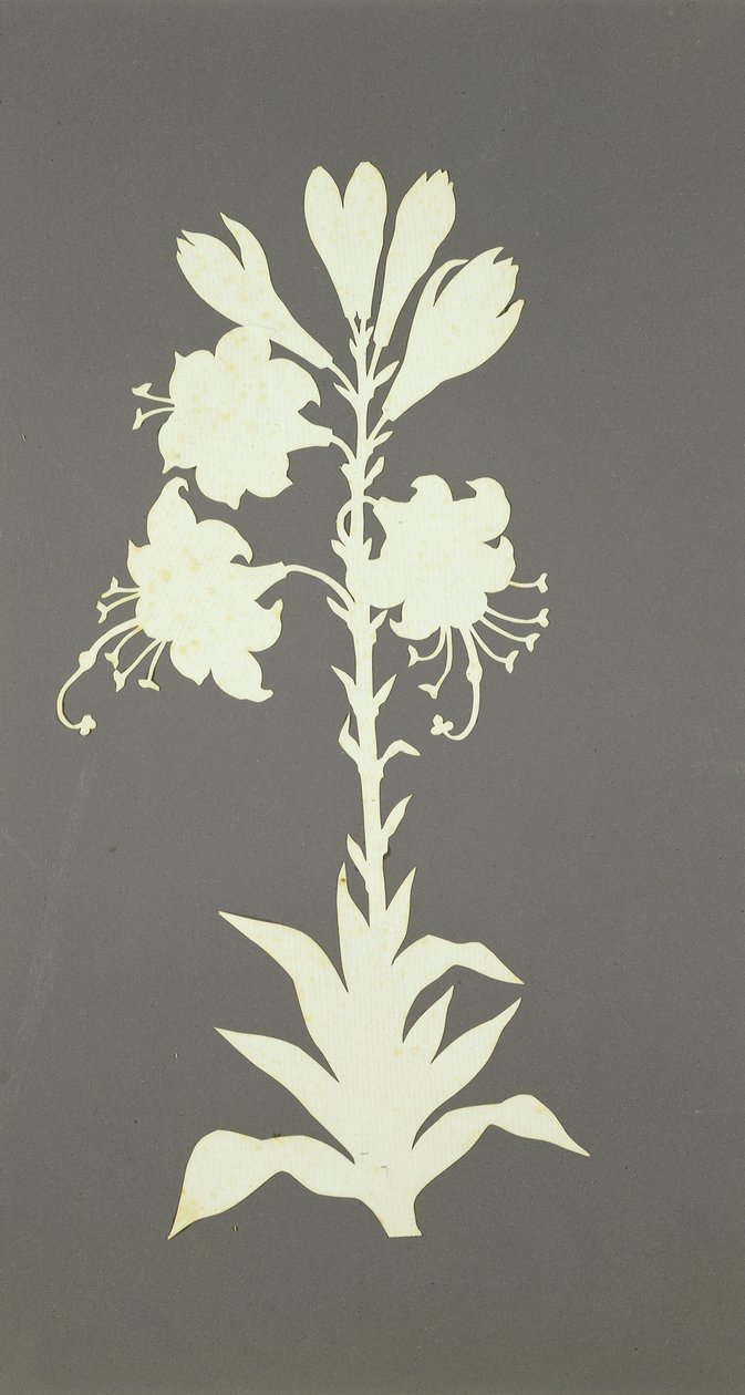 Bloem door Philipp Otto Runge