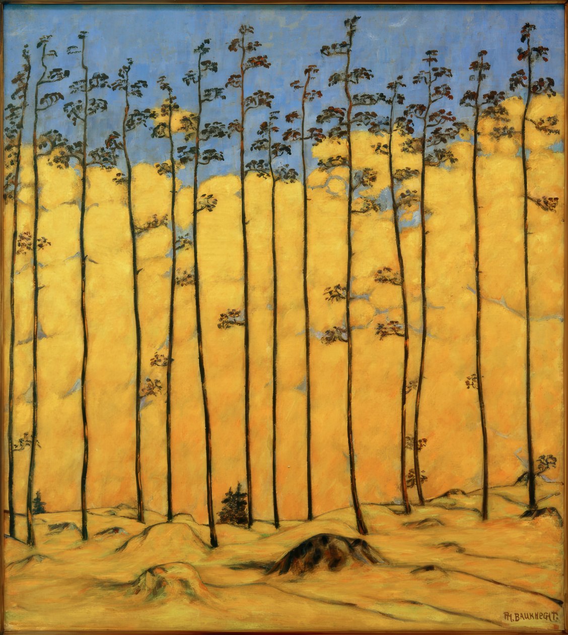 Lariks, (berglandschap) door Philipp Bauknecht