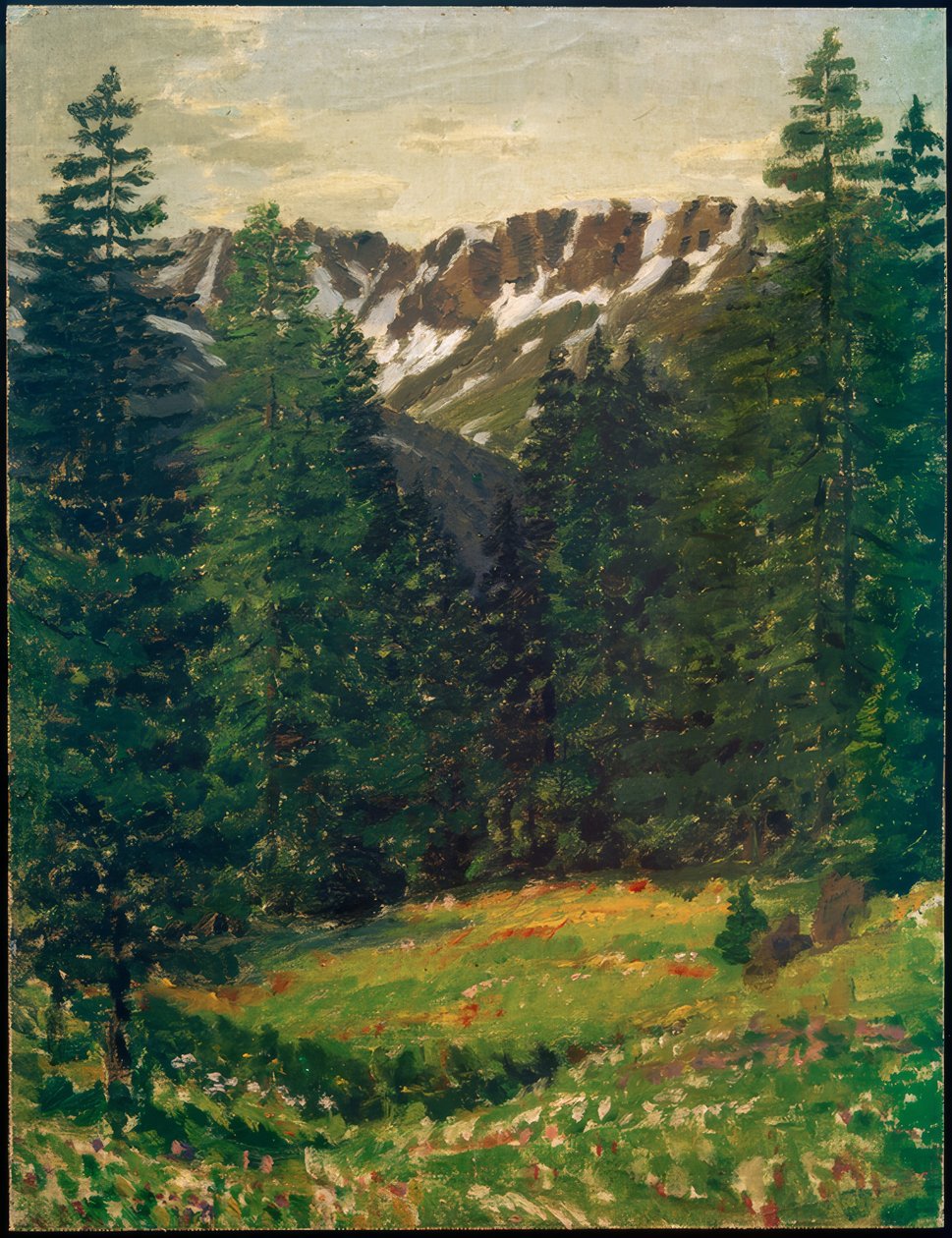 Boslandschap, (landschap) door Philipp Bauknecht