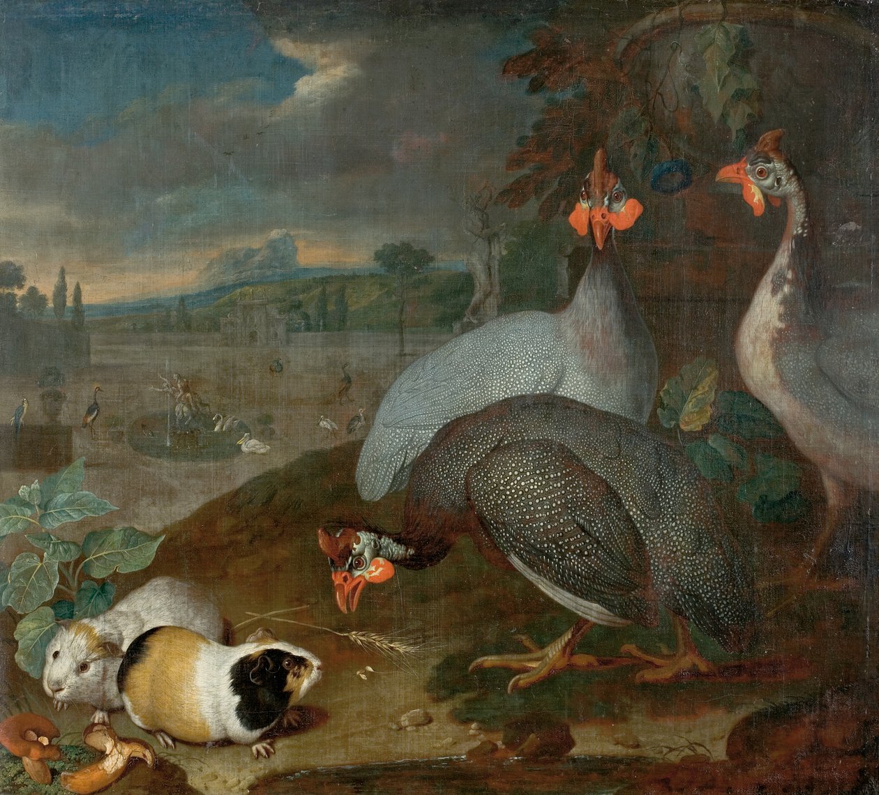 Parelhoenders met cavia door Philipp Ferdinand de Hamilton