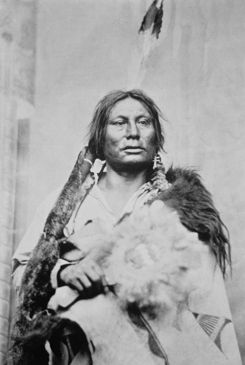 Chief Gall (c.1840-94) door Photographer American
