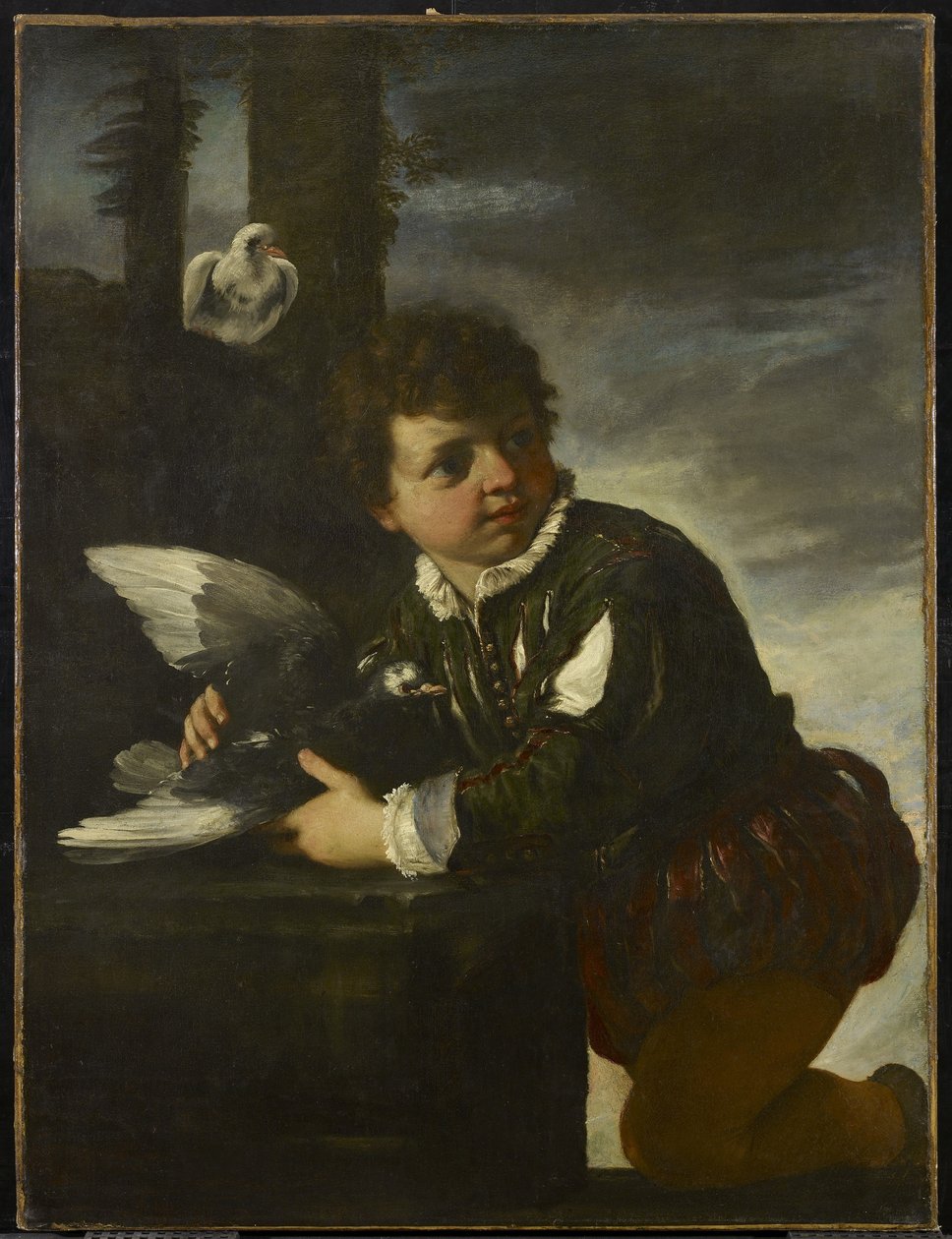 Jongen met een Duif, c.1650-55 door Pier Francesco Mola