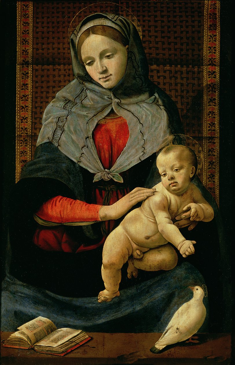 Madonna en kind met een duif door Piero di Cosimo