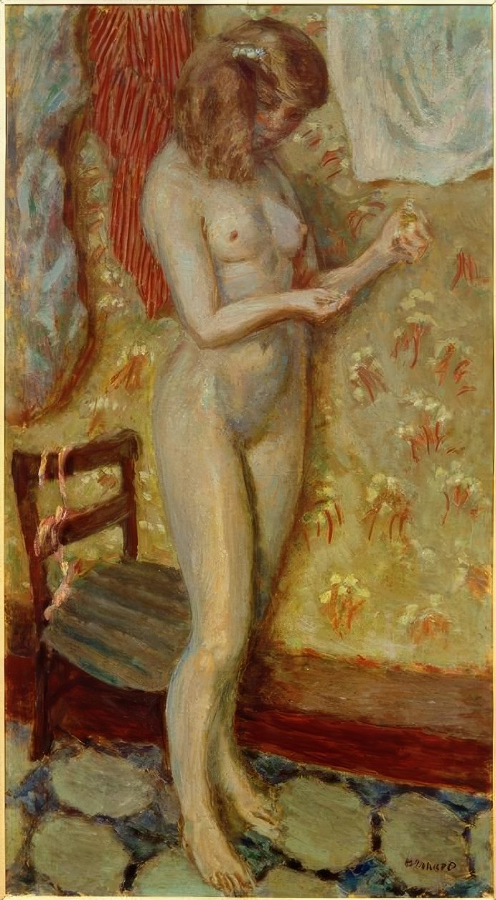 Naakt in het Licht of Naakt met de Naald door Pierre Bonnard