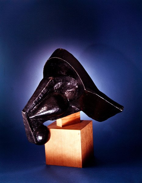 Hoofd van een Paard door Pierre Maurice Raymond Duchamp Villon