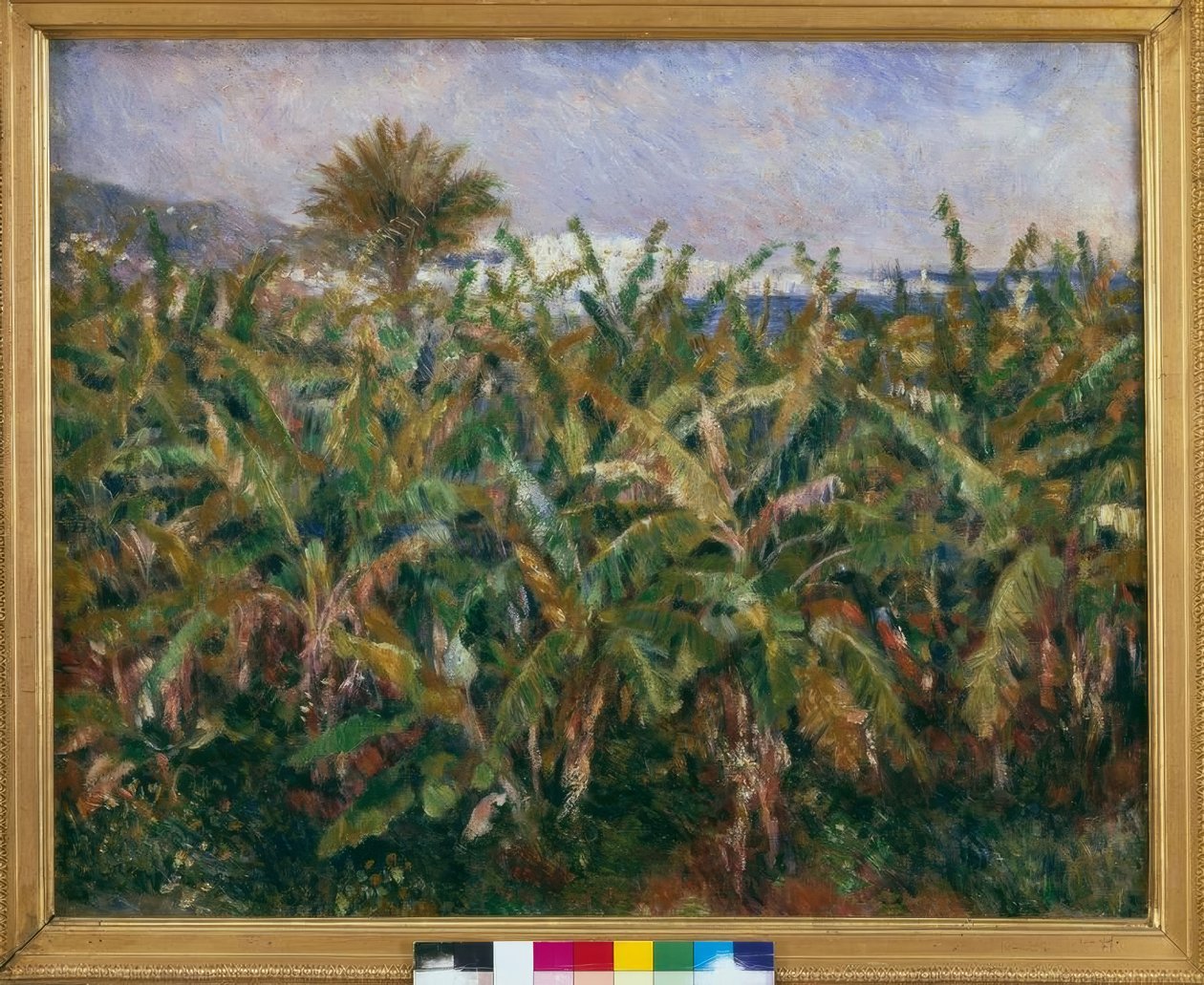 Bananenveld door Pierre Auguste Renoir