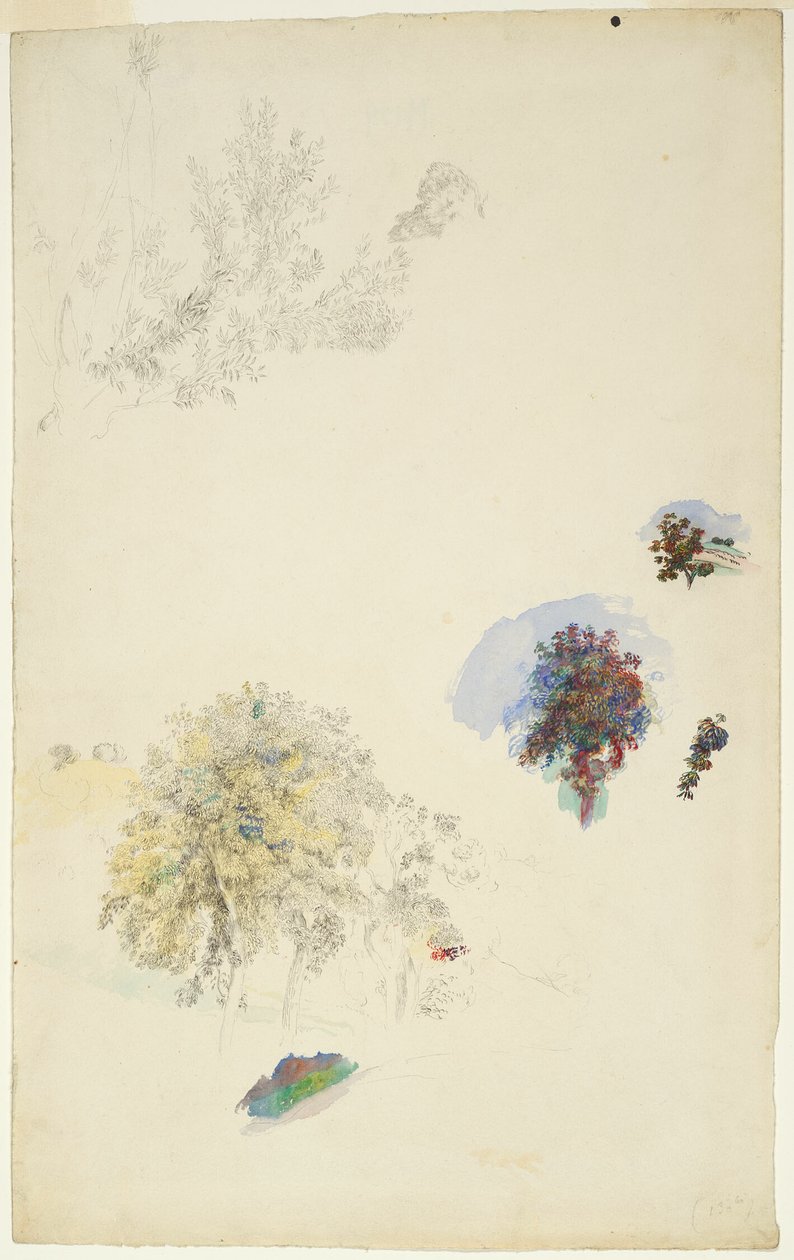 Studies van bomen en bladeren door Pierre Auguste Renoir