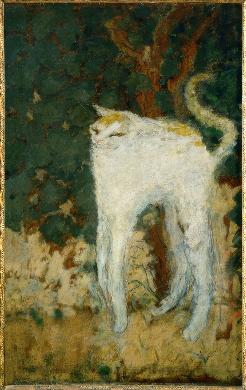 De witte kat door Pierre Bonnard