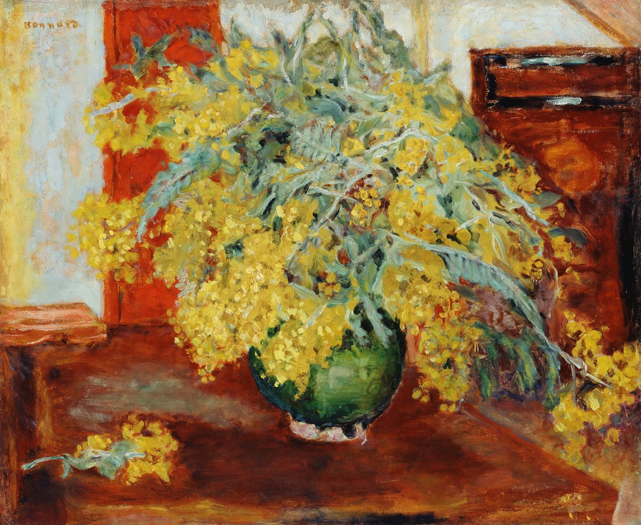 Mimosa