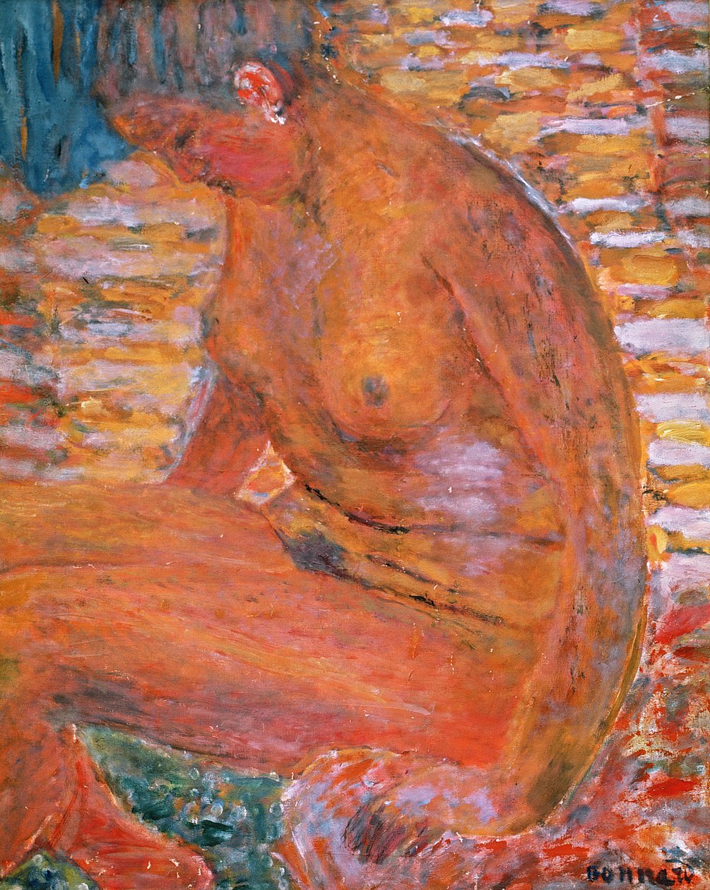 Somber naakt door Pierre Bonnard
