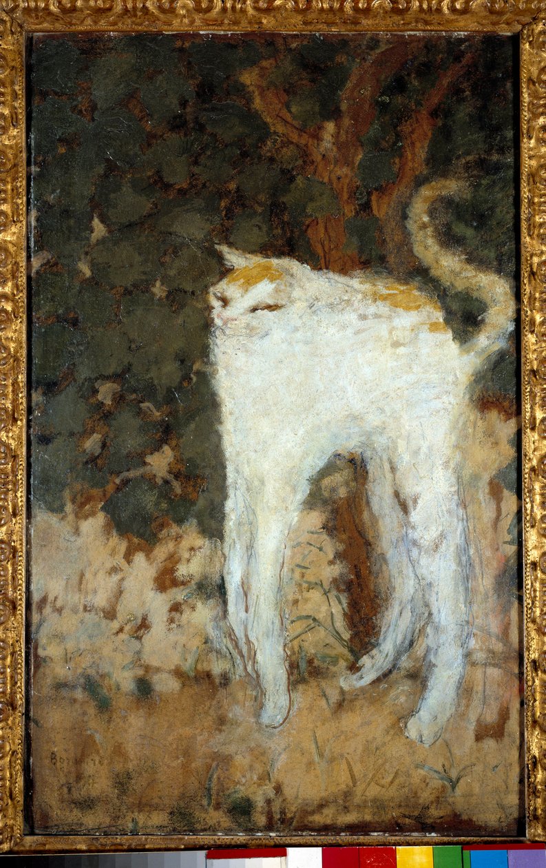 De Witte Kat door Pierre Bonnard