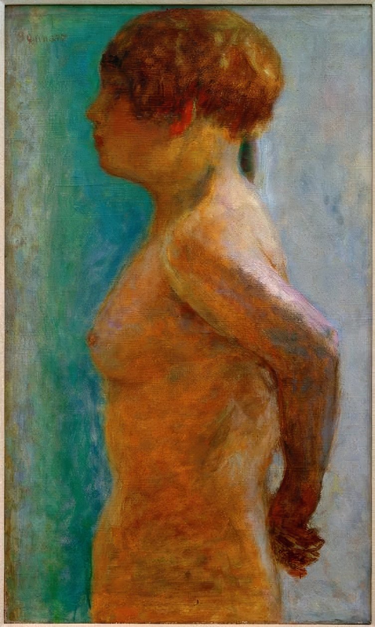 Tors van een vrouw in profiel door Pierre Bonnard