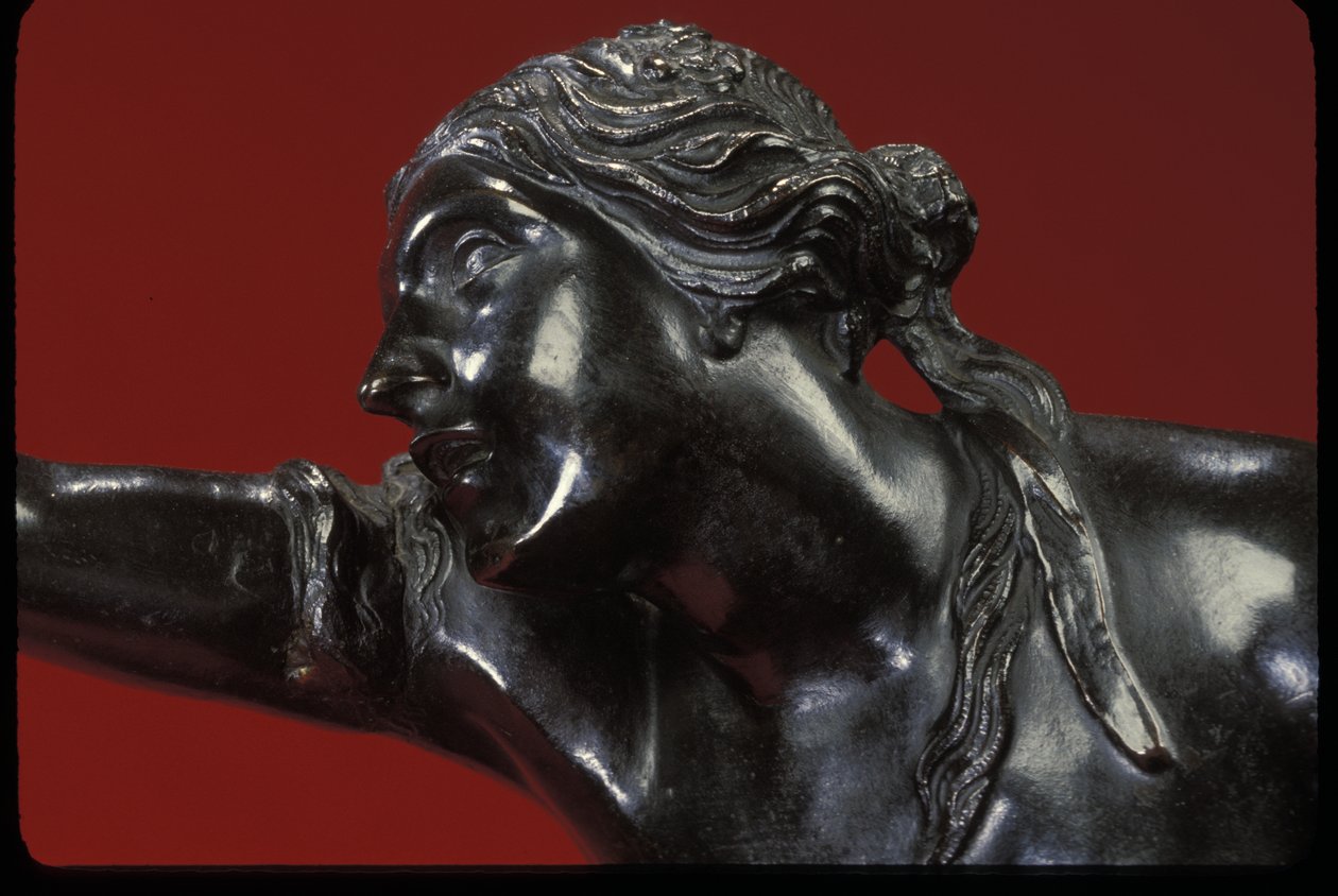 De Ontvoering van Helena door Pierre Puget