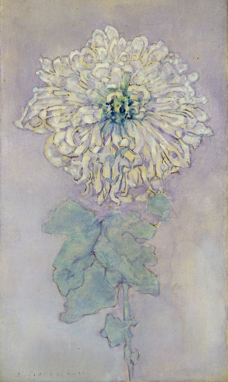 Chrysant door Piet Mondrian
