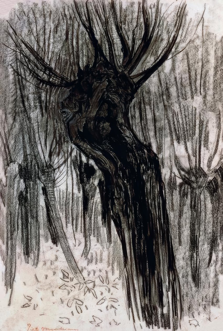 Wilgen, 1902-1904 door Piet Mondrian