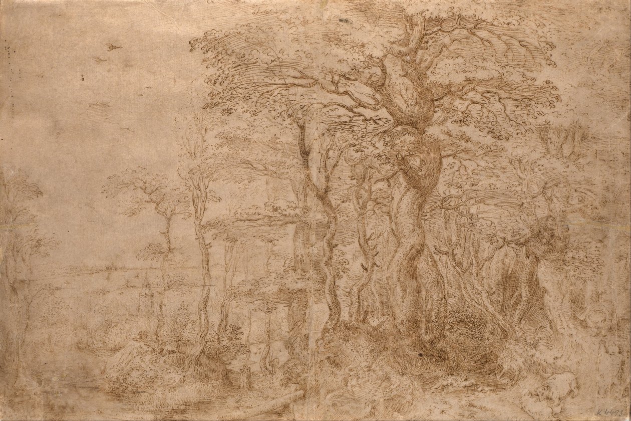 Boslandschap met vijf beren door Pieter Bruegel the Elder