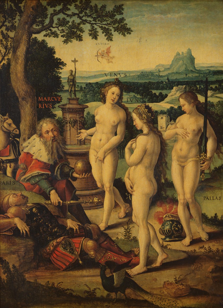 De droom van Parijs door Pieter Coecke van Aelst