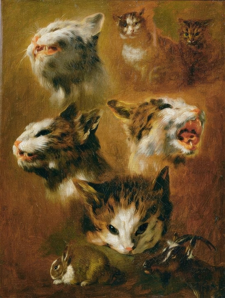 Dierstudies: katten, konijnen en geit door Pieter or Peter Boel