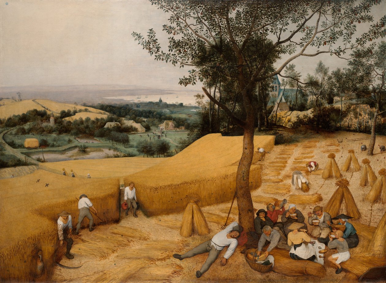 De Oogsters door Pieter Bruegel the Elder