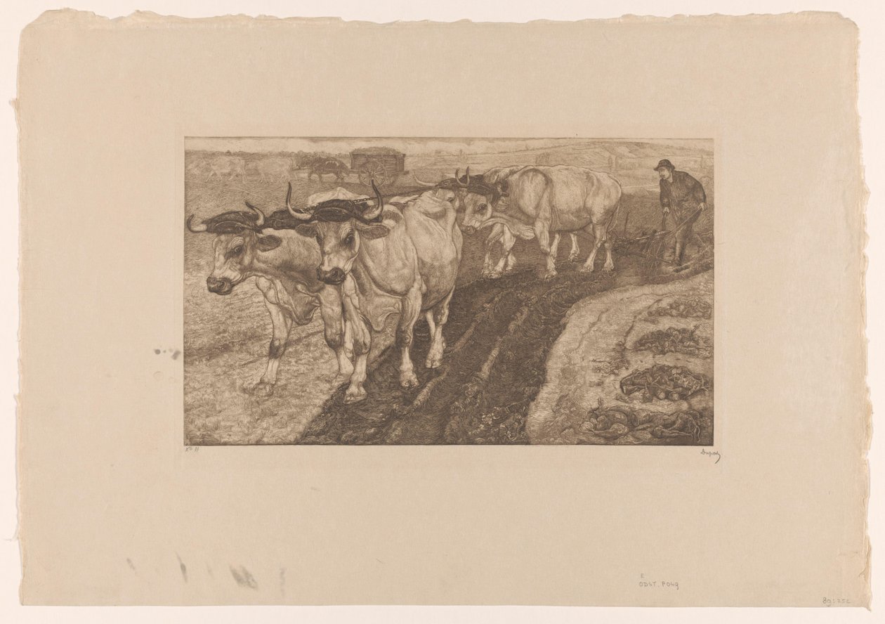 Vier ploegende ossen door Pieter Dupont (signed by artist)