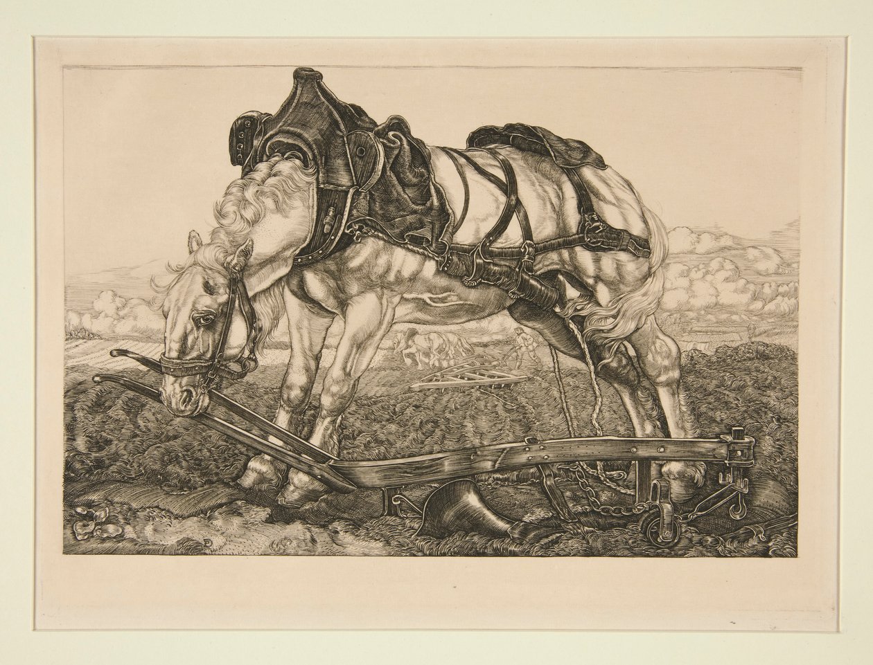 Werkpaard door Pieter Dupont