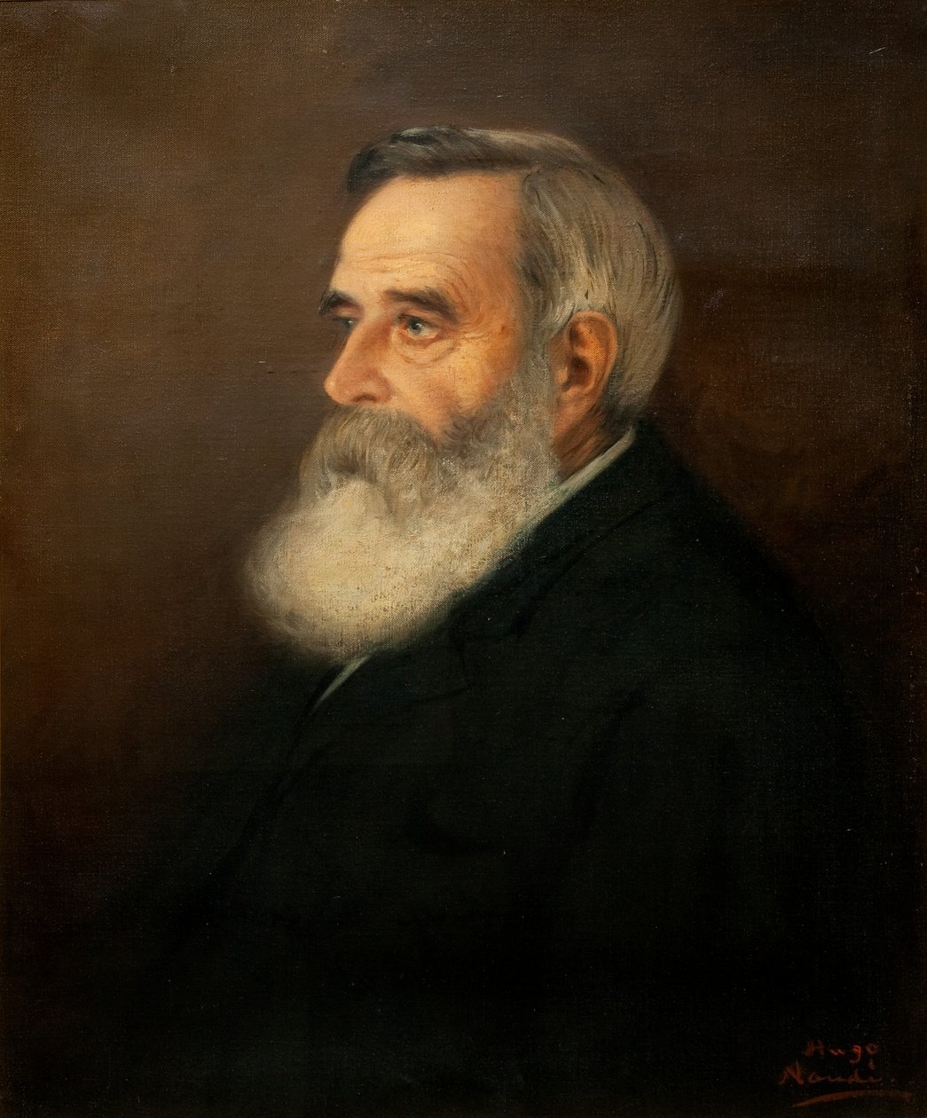 Dr. Brown door Pieter Hugo Naudé