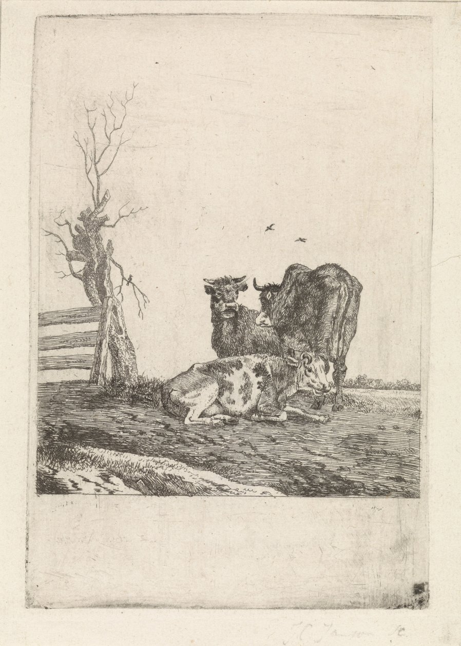 Landschap met drie koeien door Pieter Janson