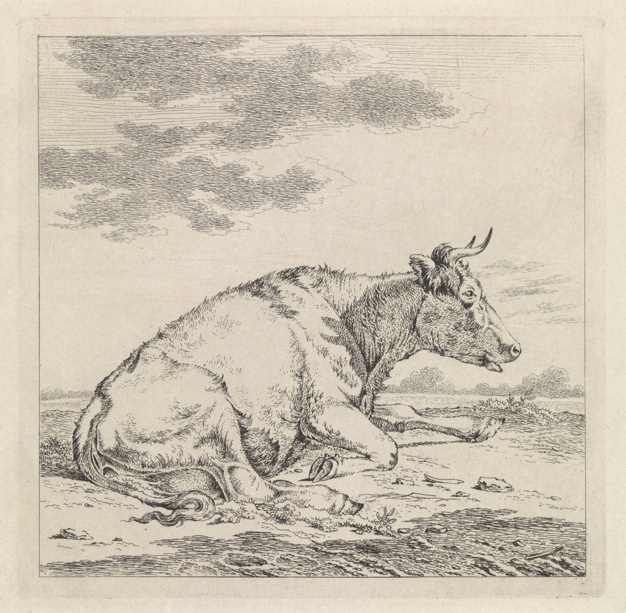 Liggende koe, naar rechts door Pieter Janson