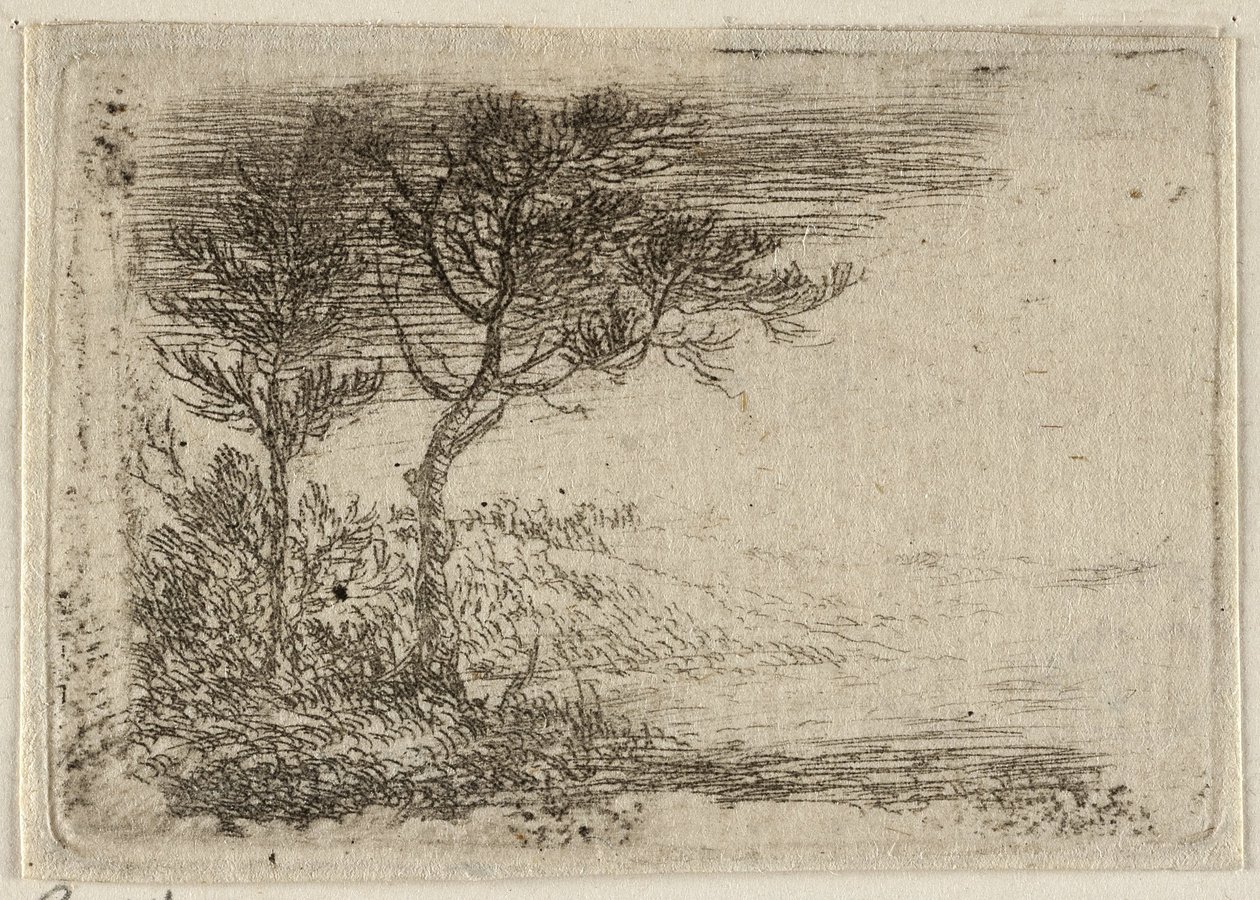 Duits: Landschap met twee bomen door Pieter van Laer