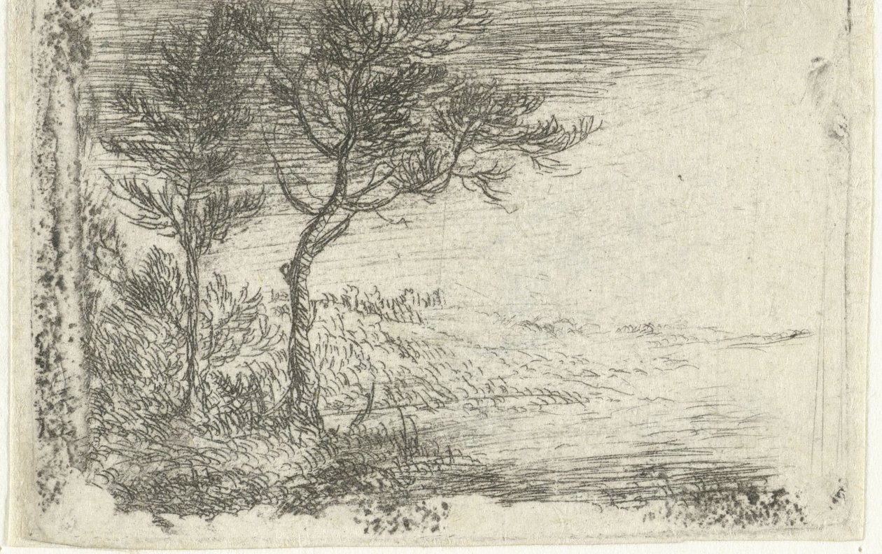 Duits: Landschap met twee bomen door Pieter van Laer