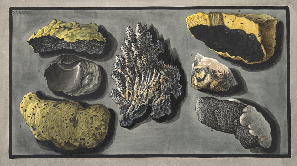 Specimens van vulkanisch materiaal gevonden in de krater van de Vesuvius, Plaat XXXXVI, uit 